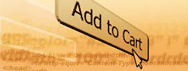 Increase Web Site Visitor Conversions